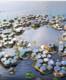 South Korea to get world’s first floating city by 2025