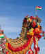 Rajasthan to host Ranakpur Jawai Bandh Utsav from December 22