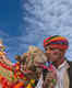Bikaner to host the annual Bikaner Camel Festival; all the details here