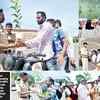Image result for violators of traffic rules should plant a sapling