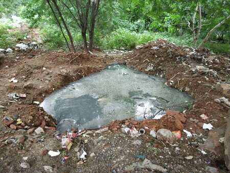 Breeding ground for mosquitoes