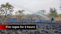 Massive fire at Gorewada zoo in Nagpur, no loss of human life 