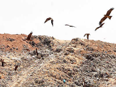 Yet another attempt to revive Mandur landfill