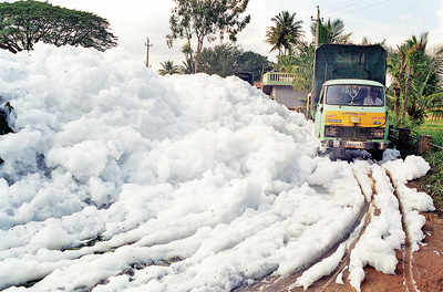 Effort to get rid of Bellandur froth: 'A big scam in the making'