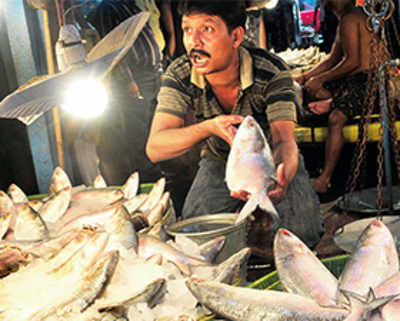 Bengal fishing for Hilsa patent