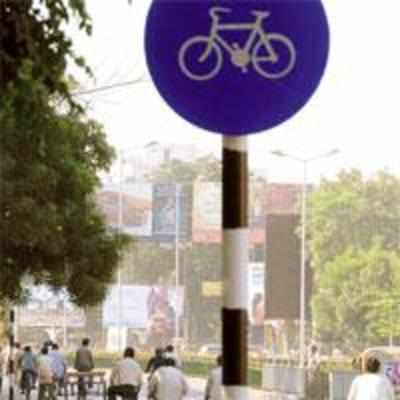 City's first cycle lane to be ready by March