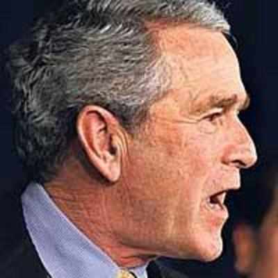 America does not persecute jailbirds: Bush