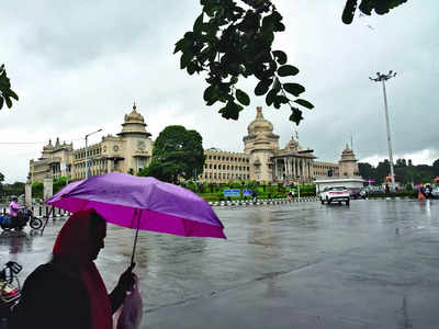 Five dead amid heavy rain in Karnataka, cities inundated