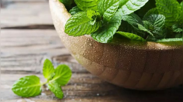 Look out for the side effects of mint