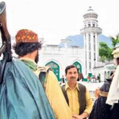 Taliban militants to get immunity: cleric