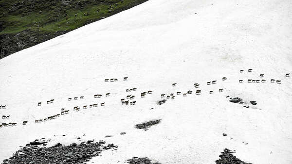 High snow betrayed Pakistanis, has now flooded the Chinese