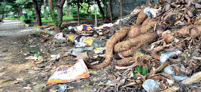 Chinnapannahalli Lake’s woes overflow:  Where does the muck stop?