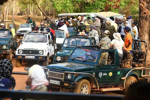 Tadoba may soon change all safari vehicles to electric