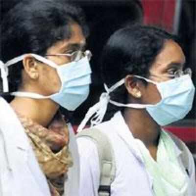 Five more swine flu deaths push toll to 53