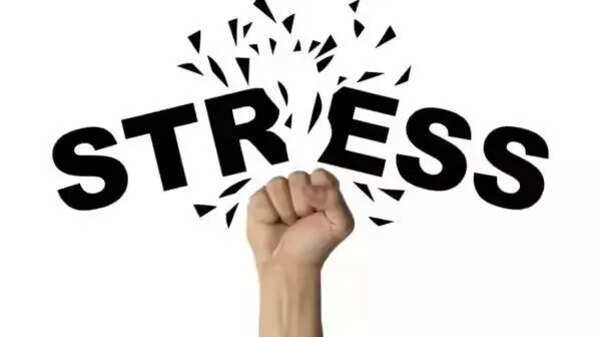 Women cops get advice on stress management