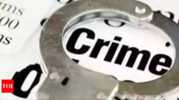 Thefts, cyber crimes rise in Hisar division