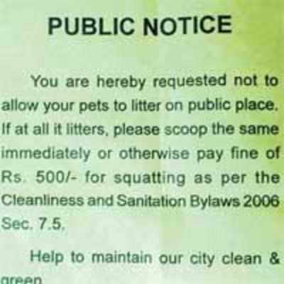 Clean your dog's poop or pay fine, IAS officers are told