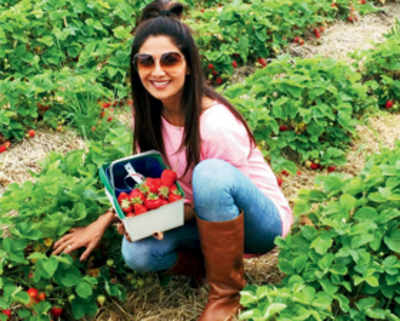 Shilpa turns to farming