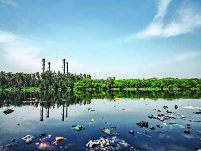 39 Bengaluru lakes polluted, rated ‘Class-E’