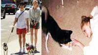 Joe Jonas and Sophie Turner suffer major trauma after death of their pet dog 