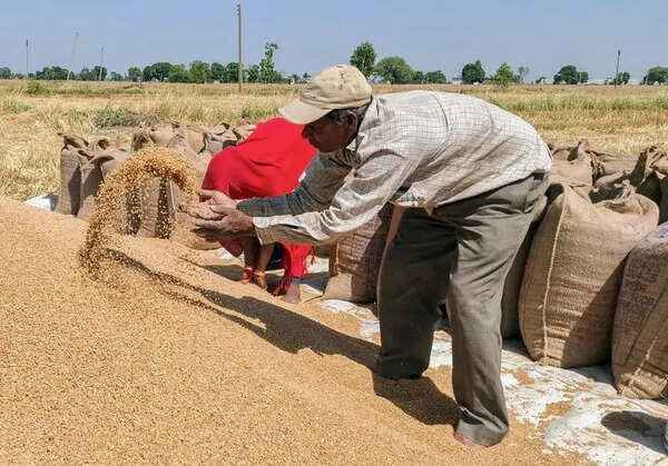 97% of estimated 122 LMT wheat arrives in mandis; 53% lifted