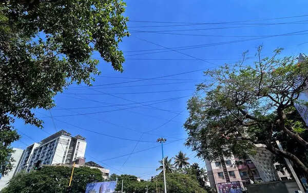 PMC to halt drive against overhead cables