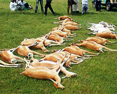 30 deer die in Telangana
