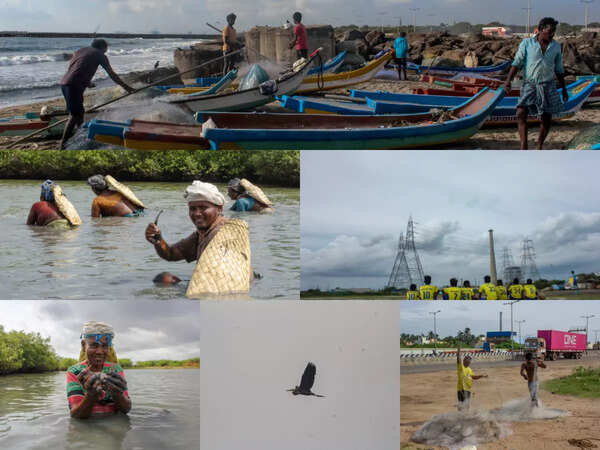 Six students narrate complex stories from North Chennai through photography