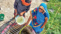 Biogas keeps the flame alive in these MP villages as LPG shortage hits homes nationwide