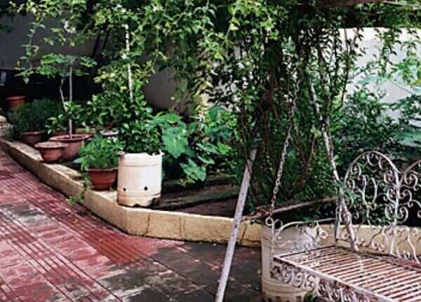 A finely-balanced kitchen garden that has plenty, and for everyone