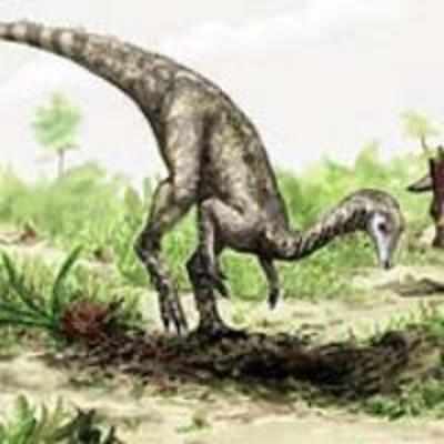 Fossil find could be oldest dino yet