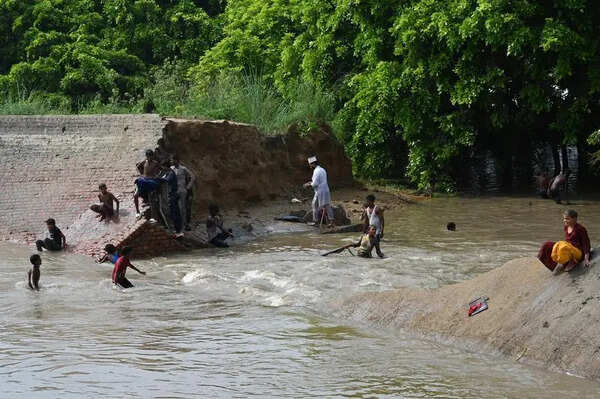 Major canal breach in Sirsa district, several acres of farmland under water