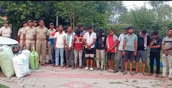 20 men held in Keonjhar for smuggling marijuana