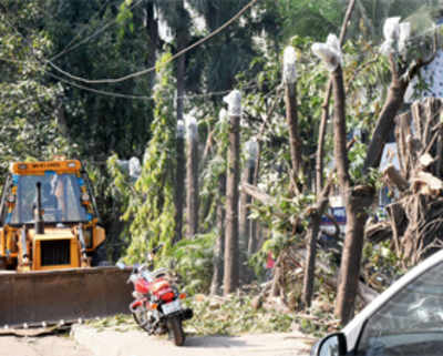 TMC chopping trees to make garden
