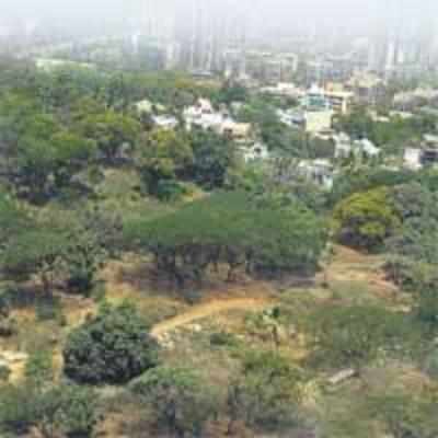 Concrete threat to city's lungs