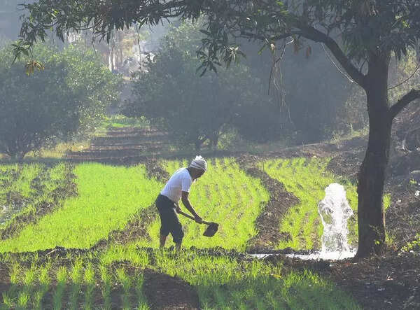 High-impact mega watershed project in Nanded aims to double farmers’ income