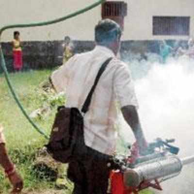 Civic body undertakes drive to root out malaria from Navi Mumbai