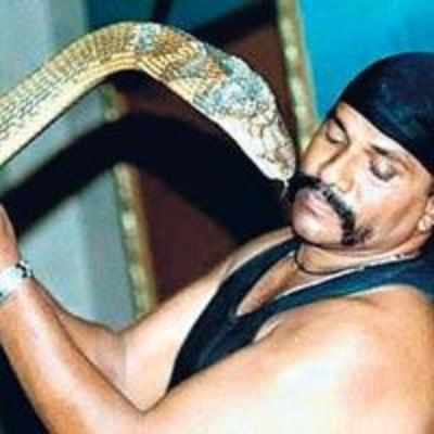Snake king dies of cobra bite