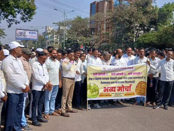 Sangli grape farmers demand ban on imported raisins to protect local prices