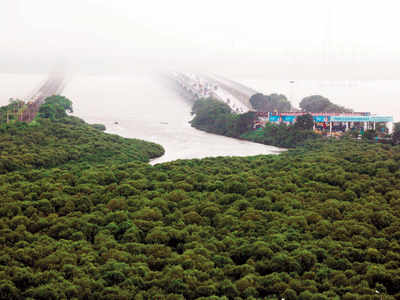 Navi Mumbai to lose another six acres of mangroves for upcoming airport