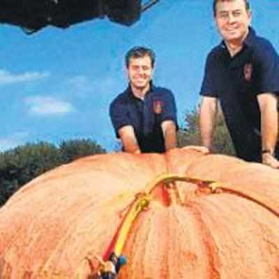 UK's giant pumpkin squashes Euro record