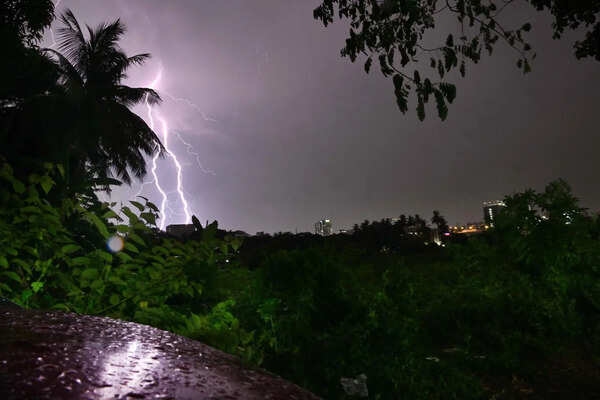 Lightning kills 30 sheep in Nagarkurnool