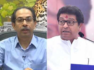 Will Raj Thackeray and Uddhav turn allies? Here's what Sanjay Raut has to say