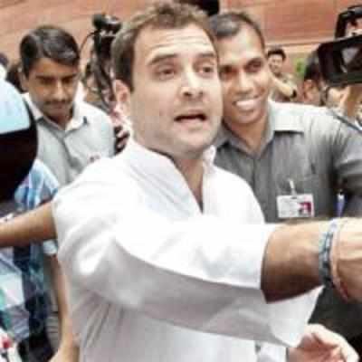 Rahul agrees to play a bigger role in Cong