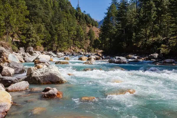 HP aims to expand forest cover to 32% by 2030
