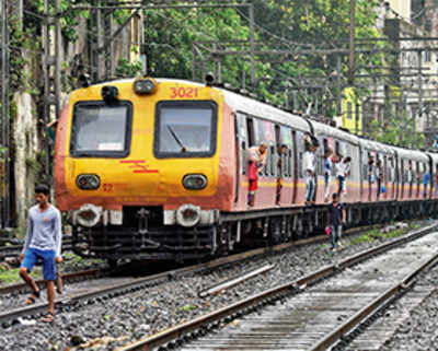 Harbour line disrupted for over an hour
