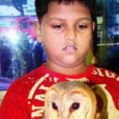 Ten-yr-old rescues an owl in distress