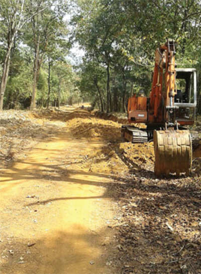 Tigers be damned! Forest dept calls up bulldozers