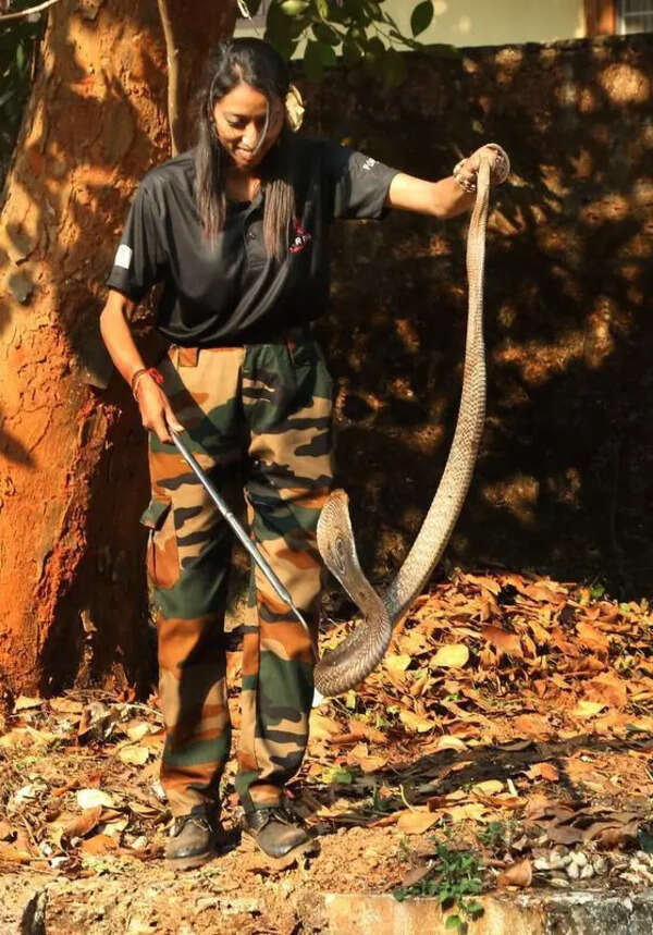 Snake relocation harms ecology and reptiles, say experts