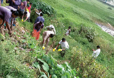 Alahalli Lake shows signs of life